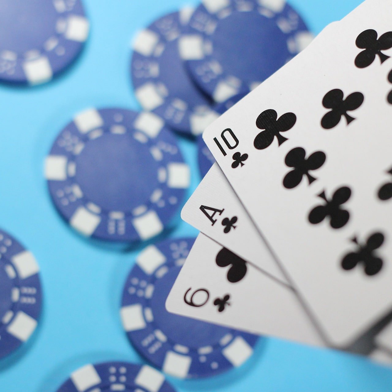 5585 bet
