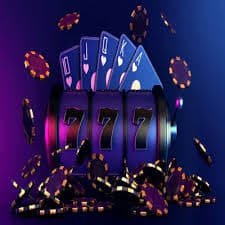 5585 bet